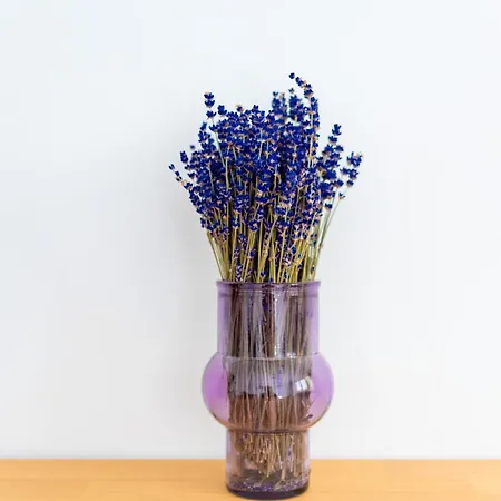 Rynek Cosy By Bookinghost * ורוצלב