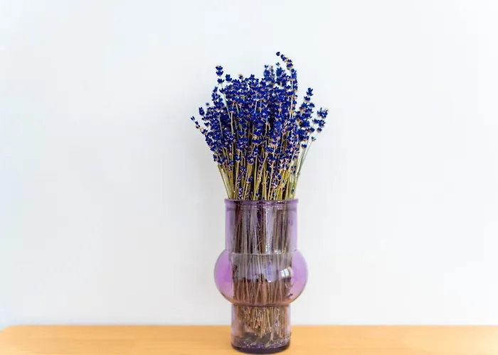 Rynek Cosy By Bookinghost * Wroclaw